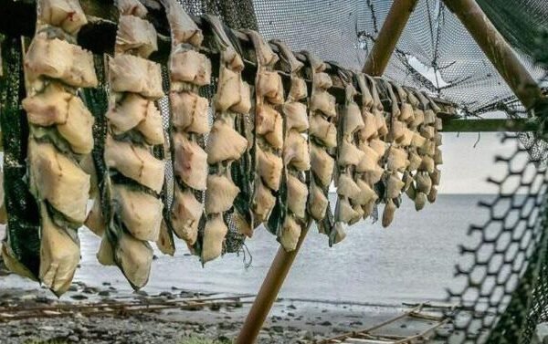 Icelandic Cuisine